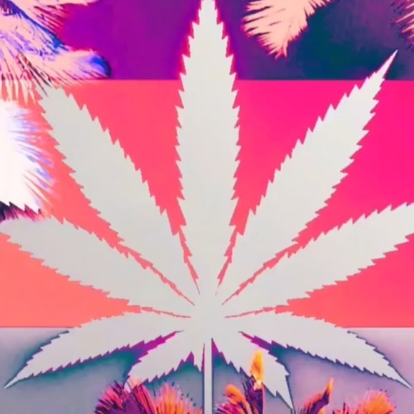 Meet your Posher, James - Picture 1 of 1